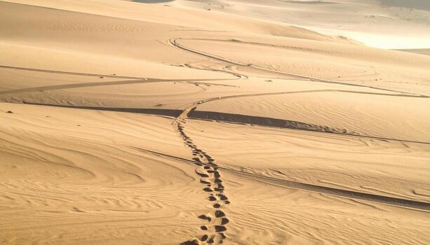 Plane shaved plank surface with track marks warm neutral copy area top wallpaper background representing carpentry texture suitable for rustic product design photo