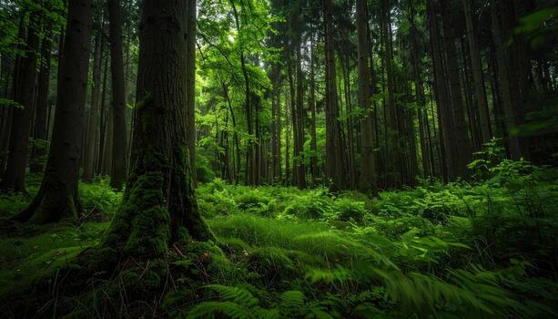 Forest icm vertical blur in deep greens to blacks painterly yet photographic with right side copy space minimal photo