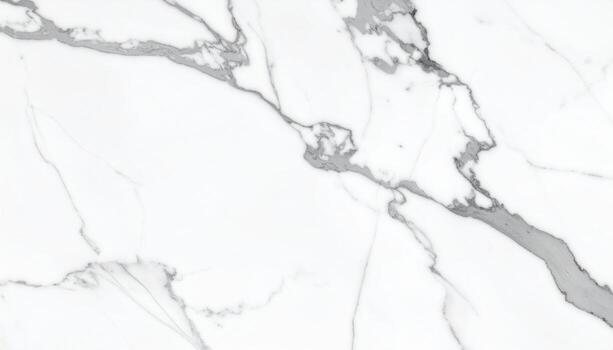 Marble slab with subtle veining pale grey on white right third empty clean editorial luxe background photo