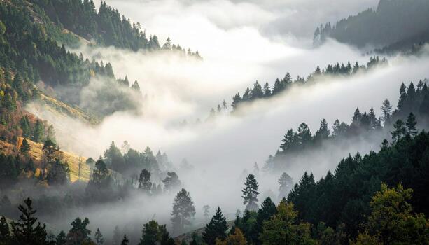 Wind sculpted fog sliding through a forest saddle muted greens and greys soft transitions central copy representing moody landscape suitable for travel wellness and calm design photo