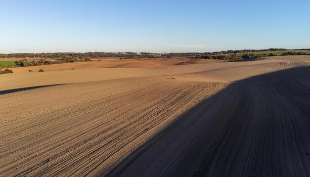 Contour plowed hills in soft side light aerial style with rhythmic lines and open sky copy space for a clean landscape background photo