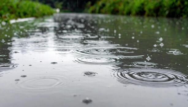 Gentle rain stipples on a still canal concentric ripples soft grey left copy representing urban water calm suitable for travel editorial wellness and clean design photo