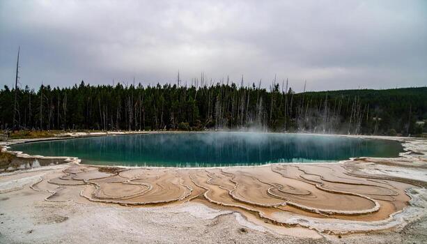 Freshwater spring boiling sand rosettes with mirrored forest calm representing hydrology patterns and tranquil habitat suitable for science education wellness brands and nature design photo