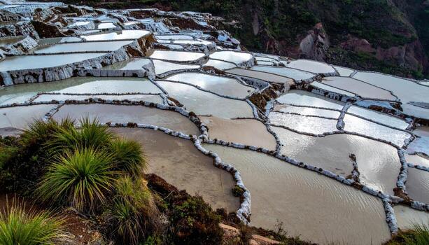 Cinematic geology photo of a limestone pavement grike maze under overcast, wet planes gleaming with small botanical tufts.