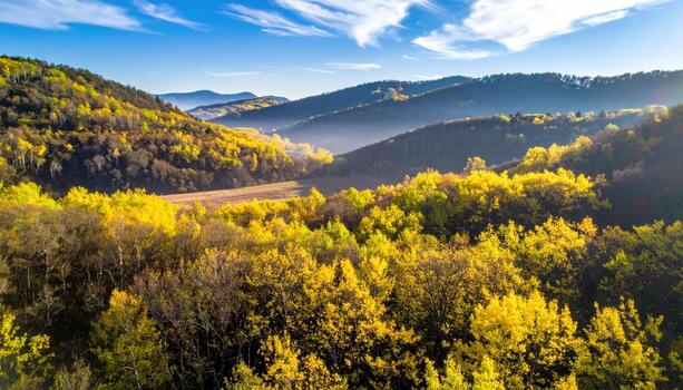 cinematográfico Valle escena lleno con polen calina en iluminar desde el fondo, suave capas y calentar resplandor torneado líneas de árboles a amable papel recortes para tranquilo primavera humor. foto