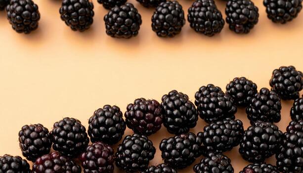 Studio still life of blackberries forming a gradient from dense to sparse across a warm taupe background, calm modern composition for clean food styling. photo