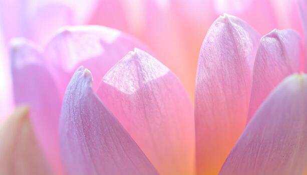 Damson wax bloom macro filling the frame oblique light revealing powdery gradients refined plum texture for editorial food branding and minimalist backgrounds photo
