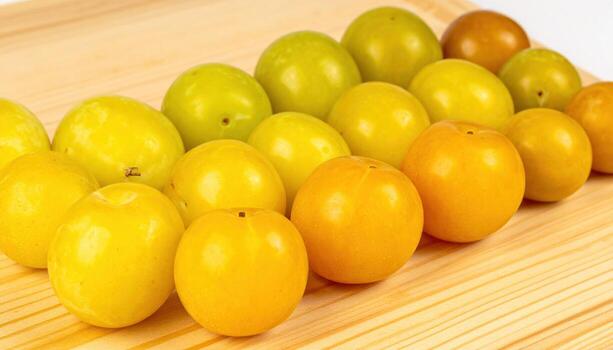 Greengage plums graded by ripeness from celadon to honey on pale board ordered calm modern produce study for editorial menus wellness and branding layouts photo