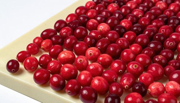 Cranberries forming a dotted gradient across ivory board under even overhead light premium holiday fruit graphic for editorial food and modern backgrounds photo