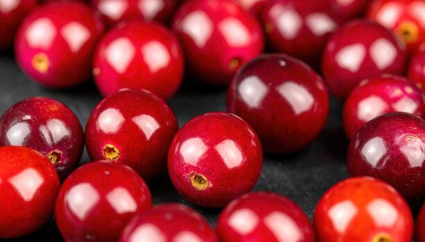 Garden huckleberry solanum nigrum berries as glossy dots on graphite with editorial restraint modern botanical still life for food stories and quiet backgrounds photo