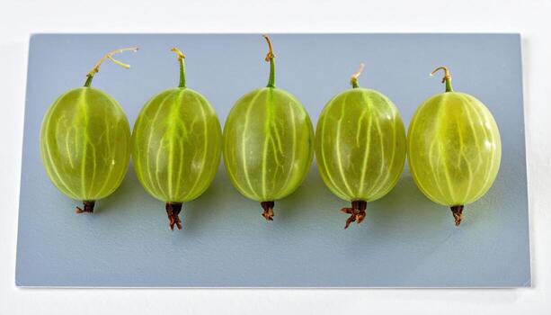 Gooseberries lined along a threadlike stem on cool grey card with tiny specular points refined fruit still life for editorial menus and fresh branding layouts photo