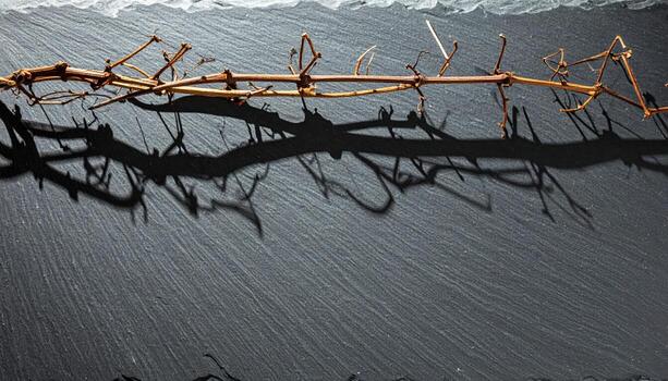 Grape stems dried and arranged as a linear drawing on slate with delicate shadows refined vineyard still life for editorial wine stories and modern backgrounds photo