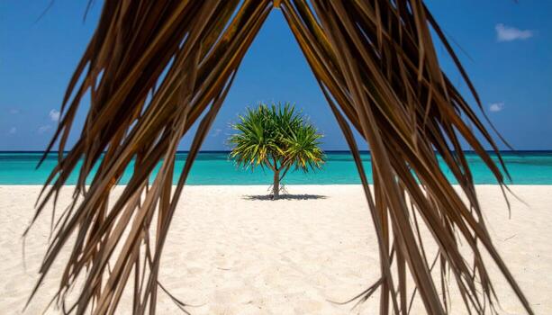 Pandanus hala keys arranged radiating from a center on sand tropical minimalism refined coastal botanical still life for editorial and design photo