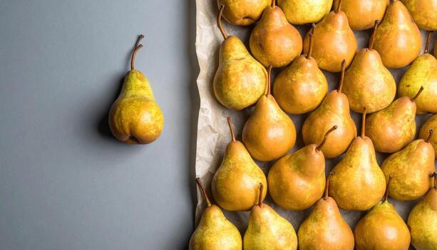 Seckel pears arranged as a gentle cluster with long elegant stems on paper grey refined orchard still life for editorial menus harvest features and calm branding photo
