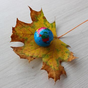 Square stock photo of World Continents is visible on a small globe lying on a fallen maple leaf