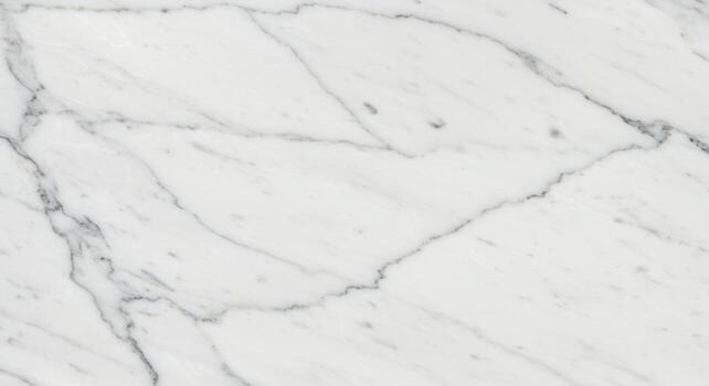 The pristine white marble surface presents a natural pattern of delicate grey veins, creating an elegant and luxurious texture across the seamless stone slab. photo