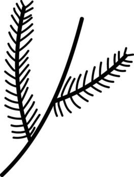 Pine Branch with Needles Sketch vector