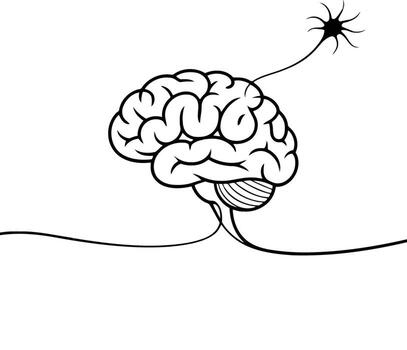 Brain and neuron isolated on white background in simple line drawing vector