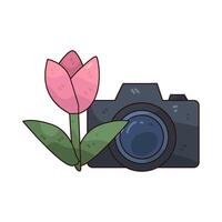 Illustration of a Camera and Tulip vector
