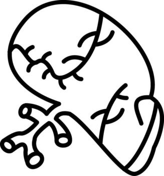 Spleen Versatile Web Graphic Layout vector