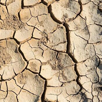 Dry cracked soil displays intricate patterns due to arid conditions creating a textured natural background. photo