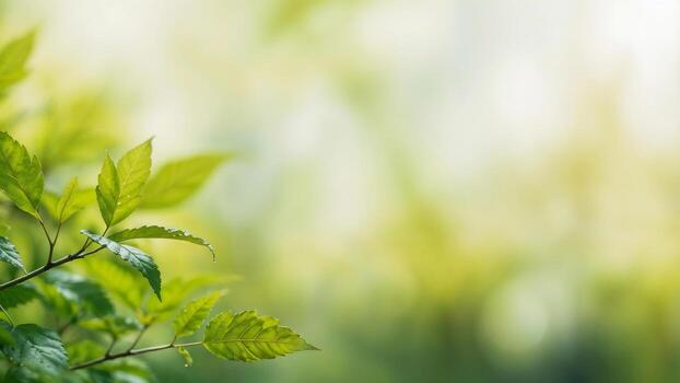 Green bio background with blurred foliage, sunlight, and copy space for text or ads photo