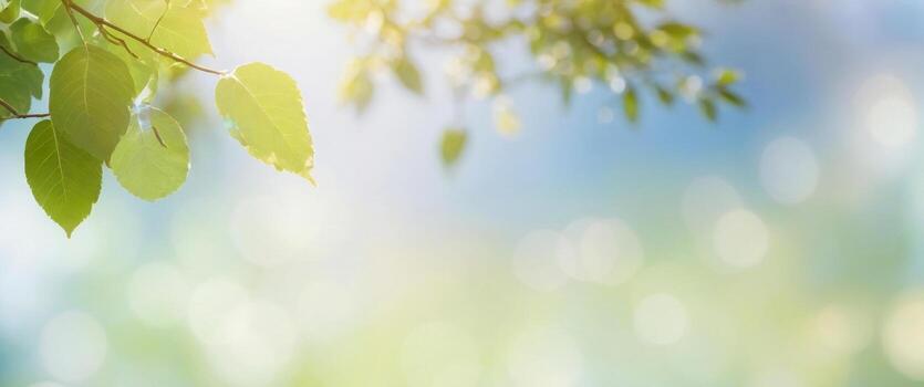 verano temporada resumen naturaleza antecedentes con árbol hojas y azul cielo a espalda frente y ligero azul borroso antecedentes foto
