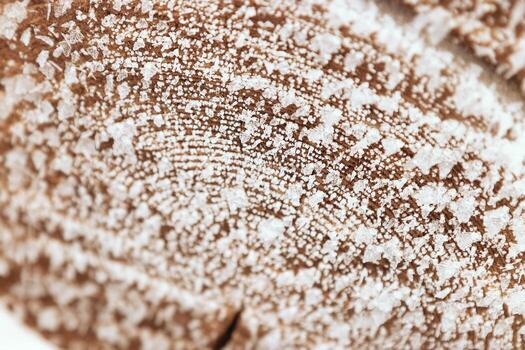 Closeup macro of frost crystals on textured wooden tree surface in winter cold. Pattern of snowflakes on slice of wood as environment background. Concept of nature, season, natural decorative patterns photo