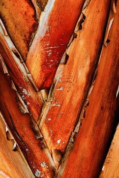 Close-Up Texture of Banana Palm Tree Trunk, Tropical Bark Background, natural wood patterns and structured tropical plant leaves surface, macro trend photo detailed texture, red orange vivid color