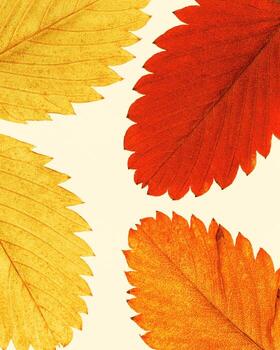 otoño mínimo imagen con otoño fresa hojas con natural textura en beige antecedentes. otoño de colores estético fotografía con cerca arriba hojas con venas, vistoso otoñal follaje foto