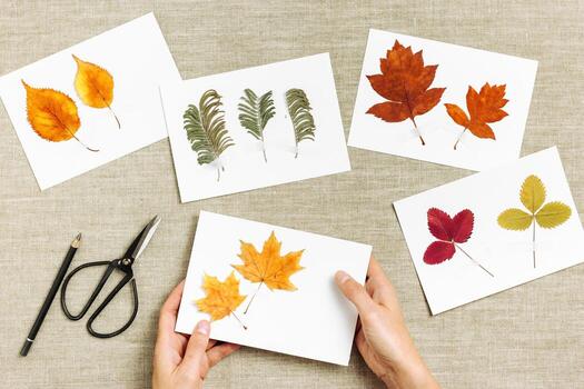 Autumn herbarium flatlay with human hands sticking leaves on paper cards on table. Top view background with pressed dried leaves from various trees, creative hobby, decor with natural materials photo