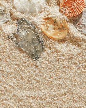 Minimal aesthetics seashells pattern on beige sand, natural sea oceanic and summer textured background, summer relaxation, top view photo with delicate pastel colored shell, rest beach wallpaper