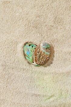 Seashells abalone as heart shape on Smooth Sandy background, shell on fine sand, minimal and peaceful beach-inspired composition under soft light, love nature and sea concept, neutral top view photo