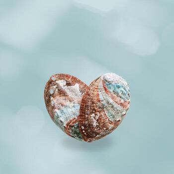 Shiny Shell of abalone as heart with natural texture, closeup seashell on soft blue background with sunlight, pearlescent iridescent surface of colored Haliotis mollusks, top view, sea oceanic nature photo