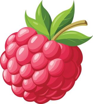 Single Ripe Raspberry with Green Leaves raspberry, red, berry, fruit, sweet, juicy vector