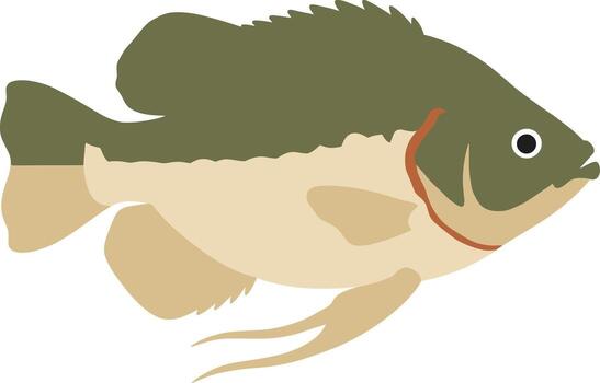 Flat Style Simple Bluegill Fish Side View Illustration Icon vector