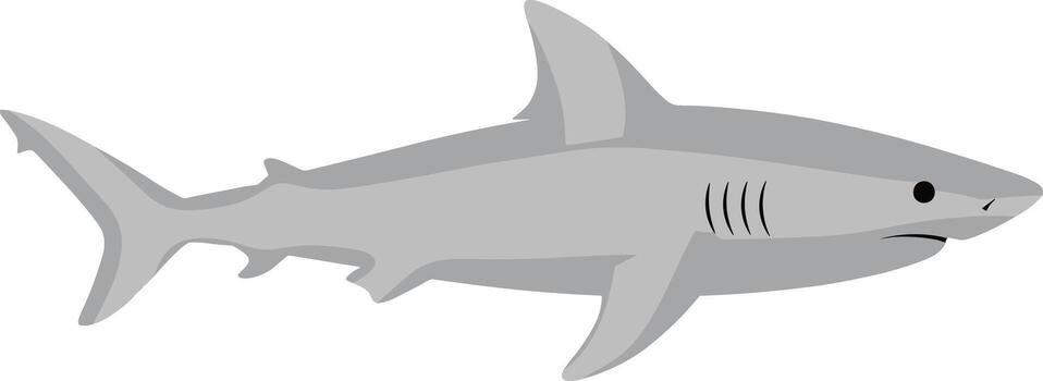 Flat Graphic Gray Color Shark Side View Simple Illustration vector