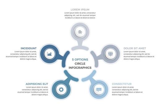 Circle diagram with five steps or options, infographic template vector