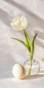 Elegant Easter composition with tulip and egg on textured white background for spring decor photo