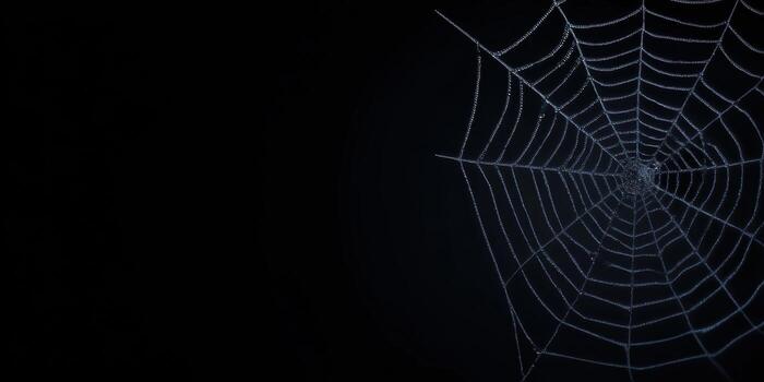 Intricate spider web on dark background for Halloween decoration or nature concepts photo