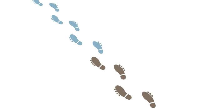 Diagonal footprint pattern in blue and brown on white background vector