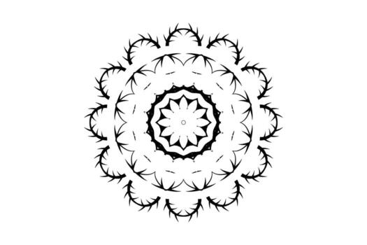 negro y blanco simétrico mandala con geométrico lágrima y lazo modelo en concéntrico círculos vector