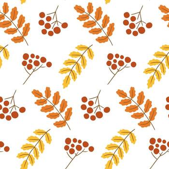Seamless pattern of hand drawn rowan branches with berries and autumn leaves on white background. Concept of fall nature, forest harvest, seasonal texture and organic design vector