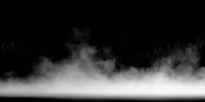 A moody landscape featuring fog, dark trees, and a mysterious, nighttime atmosphere. photo
