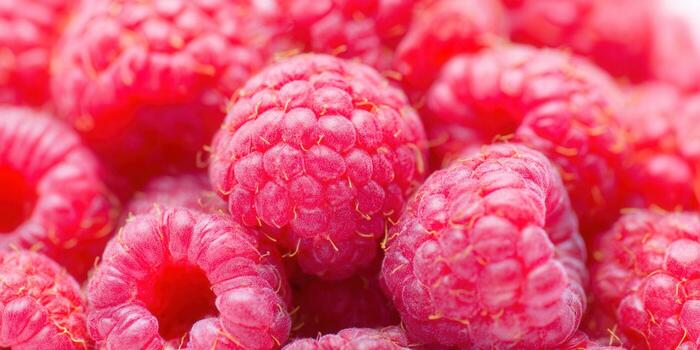 A close-up of vibrant, juicy, and fresh red raspberries. photo