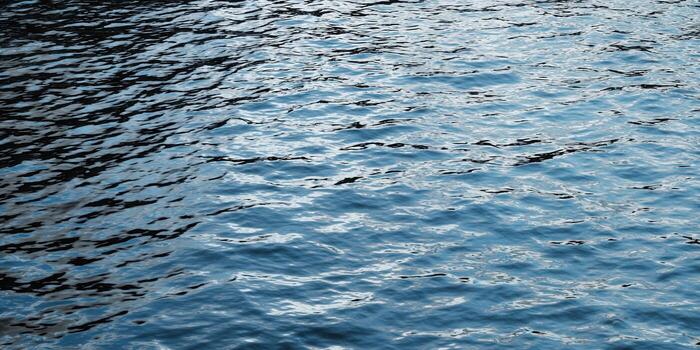 The tranquil surface of water is captured, displaying gentle waves and beautiful light reflections. photo
