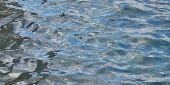 un hermosa monitor de agua ondas, con reflexiones y un sereno, resumen calidad. foto
