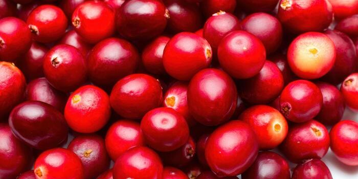 A vibrant, glossy pile of fresh, ripe red cranberries in a close-up view. photo