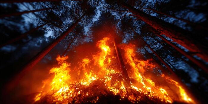 Dramatic view of a raging forest fire at night, consuming trees with intense flames. photo
