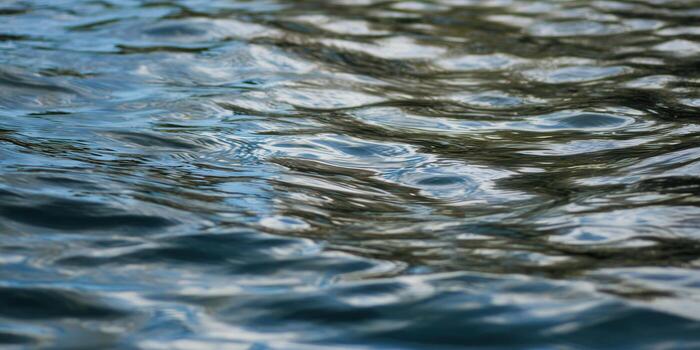 Gentle ripples and reflections create an abstract water surface in shades of blue. photo